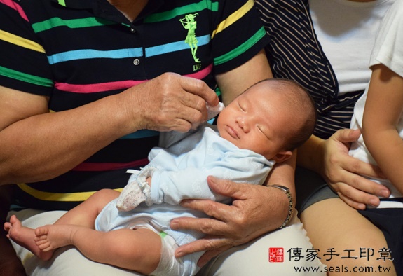 張寶寶(台中太平區到府嬰兒寶寶滿月剃頭理髮、免費到府嬰兒剃胎毛儀式吉祥話)。到府剃頭剃胎毛主持、專業拍照、DVD光碟、證書。★購買「臍帶章、肚臍章、胎毛筆刷印章」贈送：剃頭、收涎、抓周，三選一。2015.11.15 照片3
